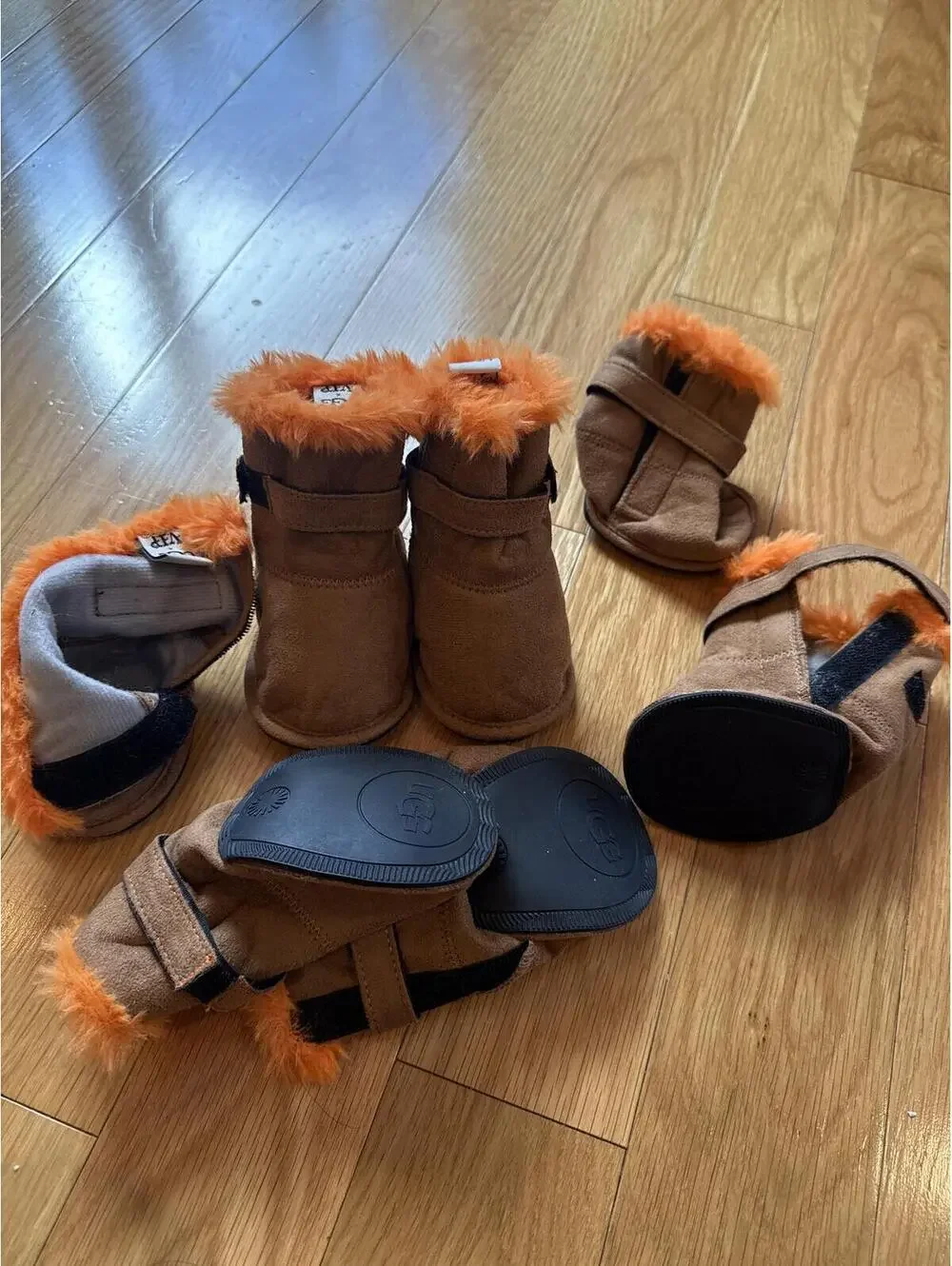UGG Dog Boots with Orange Fur Trim